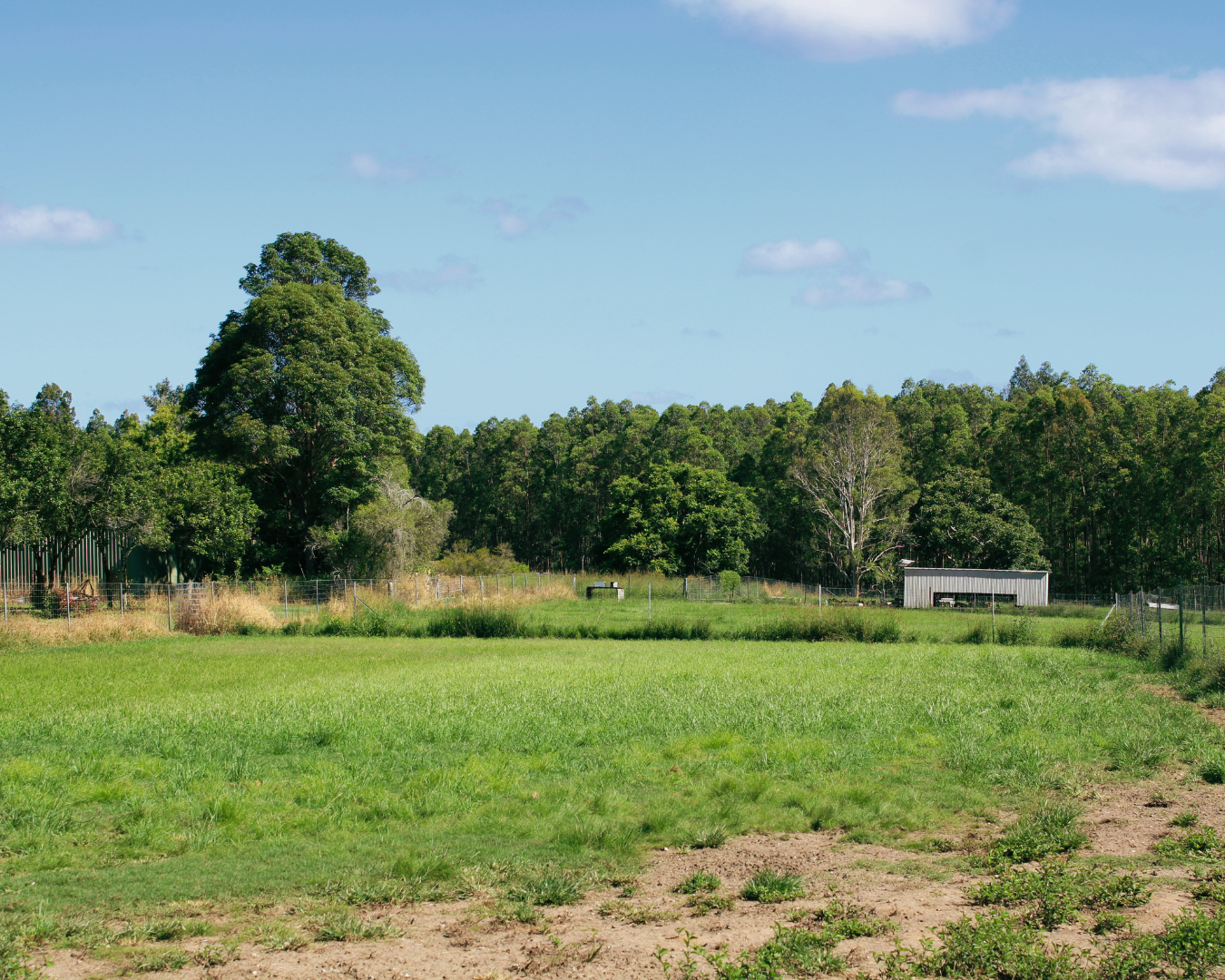 Foraging Pasture Small